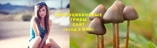 сатива Абдулино