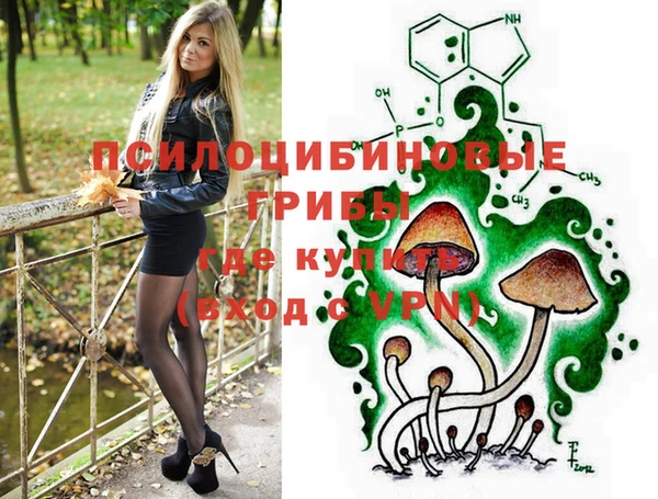сатива Абдулино