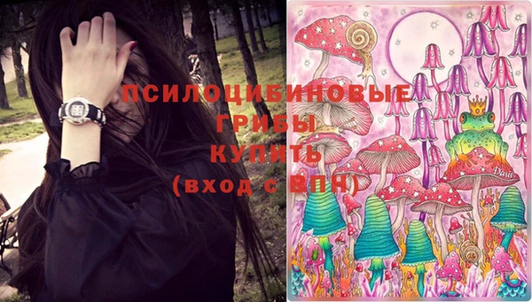 сатива Абдулино