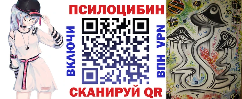 хочу наркоту  Хасавюрт  mega ССЫЛКА  Псилоцибиновые грибы GOLDEN TEACHER 