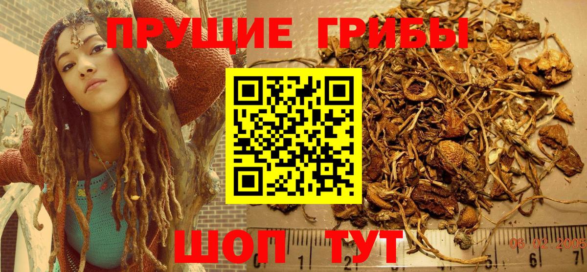 Хасавюрт  Псилоцибиновые грибы Psilocybine cubensis  где купить наркоту  Вход с VPN  Псилоцибиновые грибы Psilocybine cubensis 